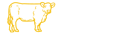 Galloway Czech
